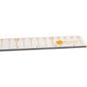 Woodware -The very useful ruler
