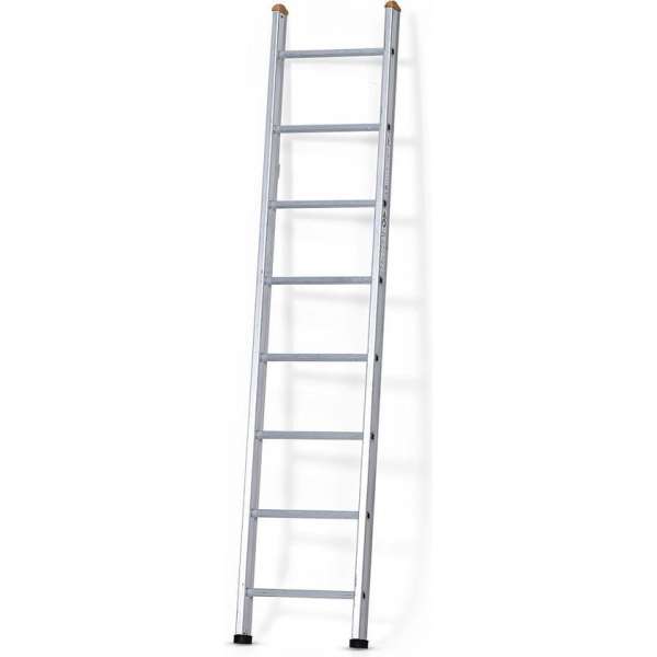 Castrex Easypro Enkele Ladder 16 sporten Castrex Easypro Enkele Ladder 16 sporten