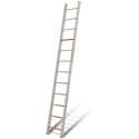 Ivana enkele ladder 10 treden 2.50mtr
