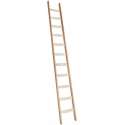 Enkele ladder 17 sporten (450 cm)