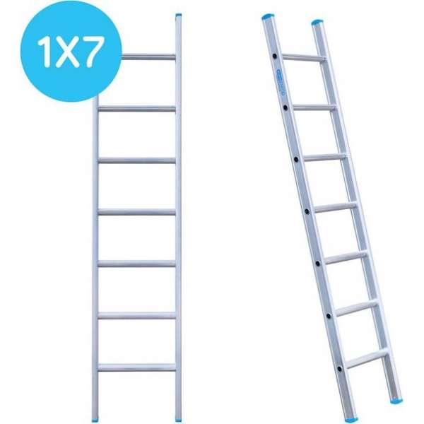 Eurostairs Ladder enkel recht 1x7 sporten Eurostairs Ladder enkel recht 1x7 sporten