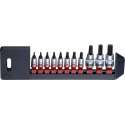 1/4'' & 3/8'' Slagvaste Torx-dopbitset (TR), 11-delig PAC3112