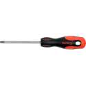Schroevendraaier Torx T10 x 100 mm