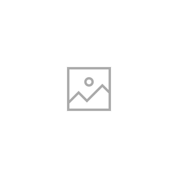 Bosch 2608550278 Diamantboorsnijder voor natte kern (SDS-DI 25x440mm Professional-Plus) Bosch 2608550278 Diamantboorsnijder voor natte kern (SDS-DI 25x440mm Professional-Plus)