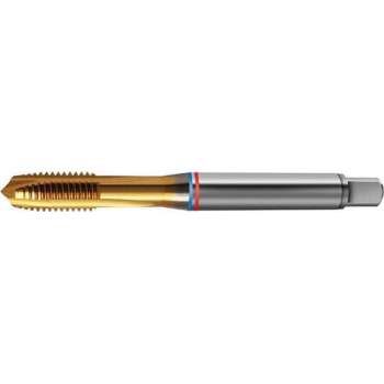 Machinetap D371B TiN FAT M16 Tan HSS-E-PM DL 6G N