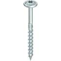 Heco Topix Plus tellerkopschroef vz torx TX30 60x100mm