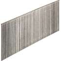 Senco Schietnagel 1,2x50mm stainless - 5000 stuks (AY21EGA)