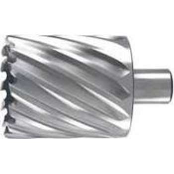 Hitachi Accessoires Kernboor 88X55 Mm - 754577