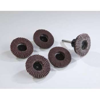 Westfalia Slijpschijven set, 5-delig, 50 mm