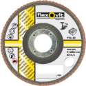 Flexovit Vlaklamellenschijf FI FLD FDSP diameter 110 x asgat 22mm P120