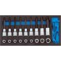 Gereedschapsmodule CT1/3 Schr.dr.inz. torx, Gedore