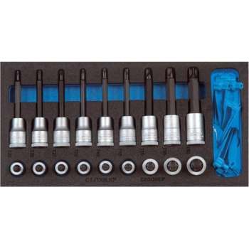 Gereedschapsmodule CT1/3 Schr.dr.inz. torx, Gedore