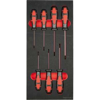 Module schroevendraaiers Torx 1/3 FORMAT