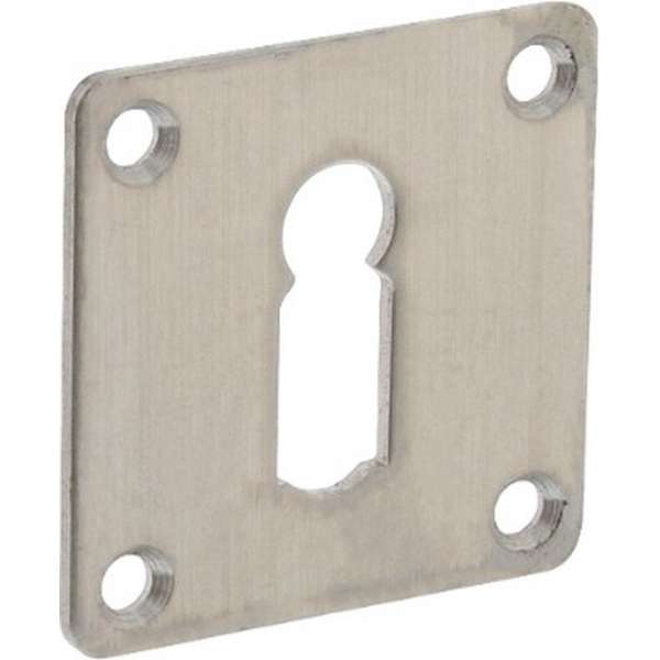 Intersteel Rozet met sleutelgat vierkant 42x42x2 mm rvs geborsteld Intersteel Rozet met sleutelgat vierkant 42x42x2 mm rvs geborsteld