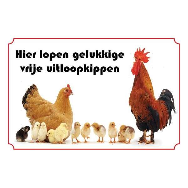 Bord Kippen - hier lopen gelukkige kippen Bord Kippen - hier lopen gelukkige kippen