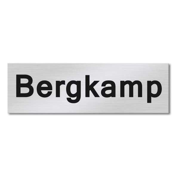 RVS Naamplaat 11x3 cm – Brievenbus naamplaat – Naamplaatje voordeur - Zelfklevend & Eigen ontwerp RVS Naamplaat 11x3 cm – Brievenbus naamplaat – Naamplaatje voordeur - Zelfklevend & Eigen ontwerp