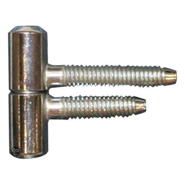 Qlinq Inboorpaumelle - Verzinkt - 9,5 x 30 mm - 2 Stuks Qlinq Inboorpaumelle - Verzinkt - 9,5 x 30 mm - 2 Stuks