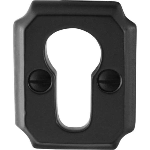 GPF Cilinderrozet rechthoekig 51x40x6mm smeedijzer GPF Cilinderrozet rechthoekig 51x40x6mm smeedijzer