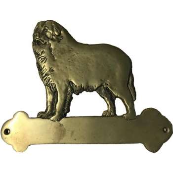 Naambordje - Berner Sennenhond - Messing