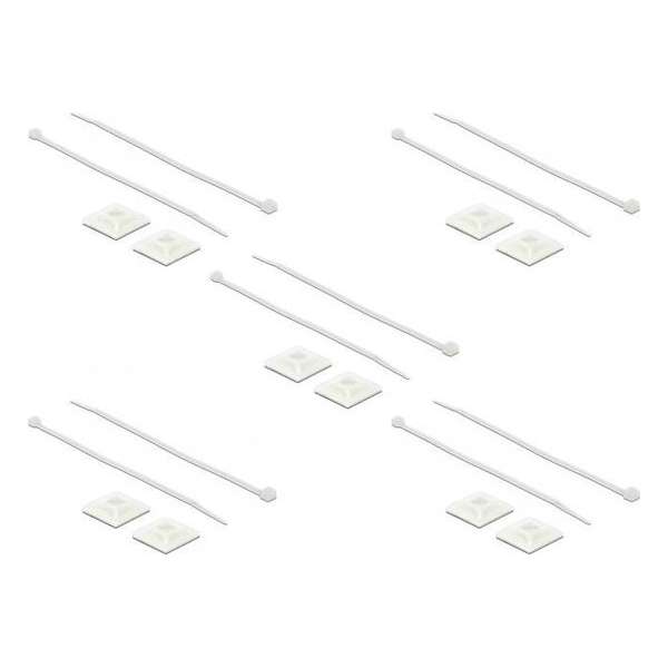 DeLOCK Tie-wraps 300 x 4,8mm (10 stuks) met zelfklevende houders (10 stuks) / transparant DeLOCK Tie-wraps 300 x 4,8mm (10 stuks) met zelfklevende houders (10 stuks) / transparant