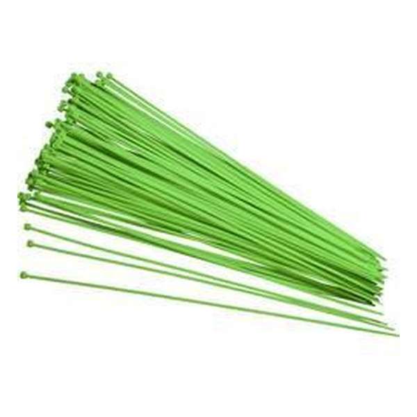 TRU COMPONENTS 93038c417 Kabelbinder 250 mm 2.80 mm Groen Nagloeiend 100 stuk(s) TRU COMPONENTS 93038c417 Kabelbinder 250 mm 2.80 mm Groen Nagloeiend 100 stuk(s)