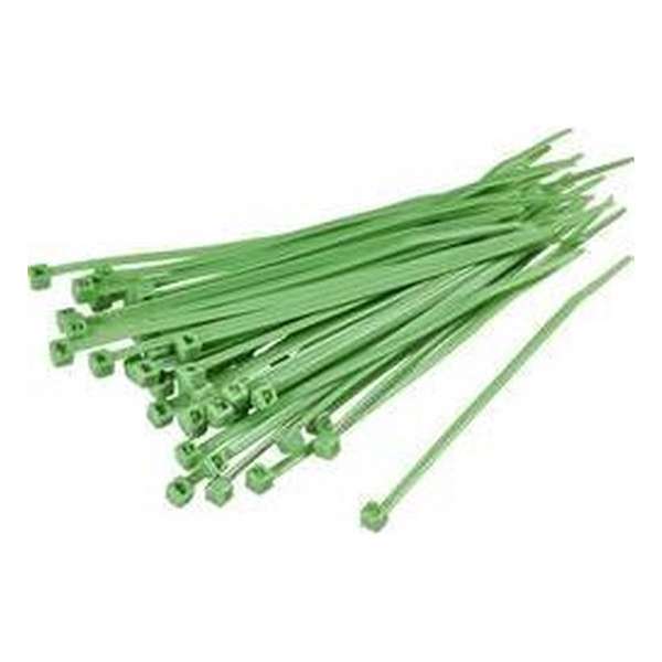 KSS 1369095 CV200D Kabelbinder 203 mm 4.60 mm Groen 100 stuk(s) KSS 1369095 CV200D Kabelbinder 203 mm 4.60 mm Groen 100 stuk(s)