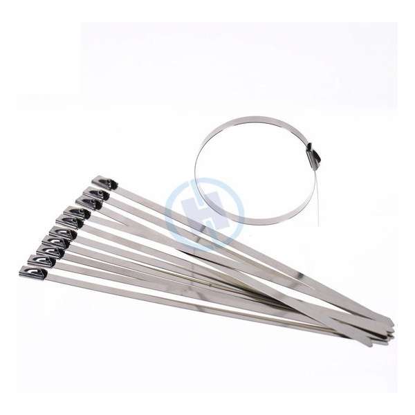 WiseGoods - RVS Kabelbinders - Metalen RVS Tie Wraps - Tie Wraps Set - Metalen Kabelbinders - Tie Wraps Lang - 10 stuks - 250 mm WiseGoods - RVS Kabelbinders - Metalen RVS Tie Wraps - Tie Wraps Set - Metalen Kabelbinders - Tie Wraps Lang - 10 stuks - 250 mm