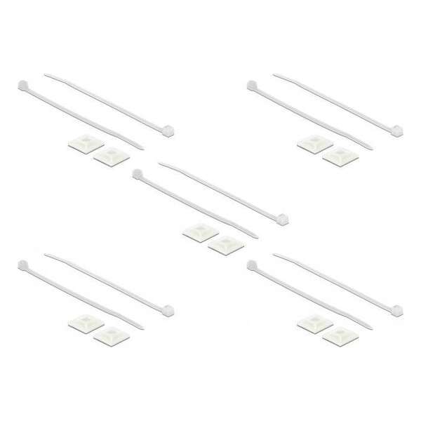 DeLOCK Tie-wraps 200 x 2,5mm (10 stuks) met zelfklevende houders (10 stuks) / transparant DeLOCK Tie-wraps 200 x 2,5mm (10 stuks) met zelfklevende houders (10 stuks) / transparant