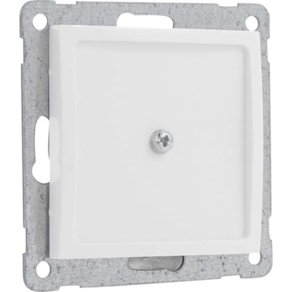 Q-Link S2 blindplaat – inbouw – polarwit Q-Link S2 blindplaat – inbouw – polarwit