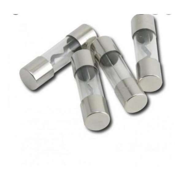 Signat S106440 AGU glaszekeringen 20 ampère set van 4 Signat S106440 AGU glaszekeringen 20 ampère set van 4