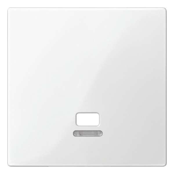 Inzetstuk Trekschakelaar Controlevenster - Polarwit - Systeem M - Schneider Electric - MTN3380-0319 Inzetstuk Trekschakelaar Controlevenster - Polarwit - Systeem M - Schneider Electric - MTN3380-0319