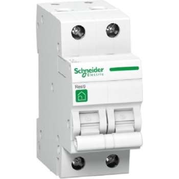 Schneider automaat 2 polig 20A - 3kA/C