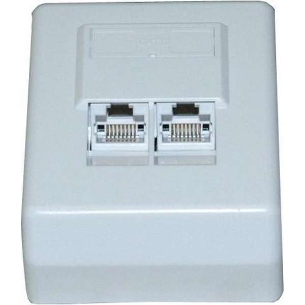Netwerk wandcontactdoos - Dubbele vrouwelijke RJ45 IDC/110 - Cat.6 - niet afgeschermd -Opbouw Netwerk wandcontactdoos - Dubbele vrouwelijke RJ45 IDC/110 - Cat.6 - niet afgeschermd -Opbouw