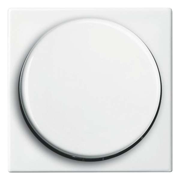 Busch–Jaeger Balance centraalplaat – dimmer – inbouw – polarwit Busch–Jaeger Balance centraalplaat – dimmer – inbouw – polarwit