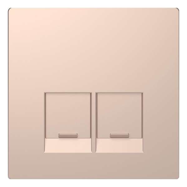 Inzetstuk RJ45 Actassi 2V - Metaal - Champagne Metallic - Systeem Design - Schneider Electric - MTN4572-6051