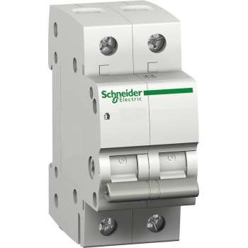 Schneider Electric Domae hoofdschakelaar 2p 40A