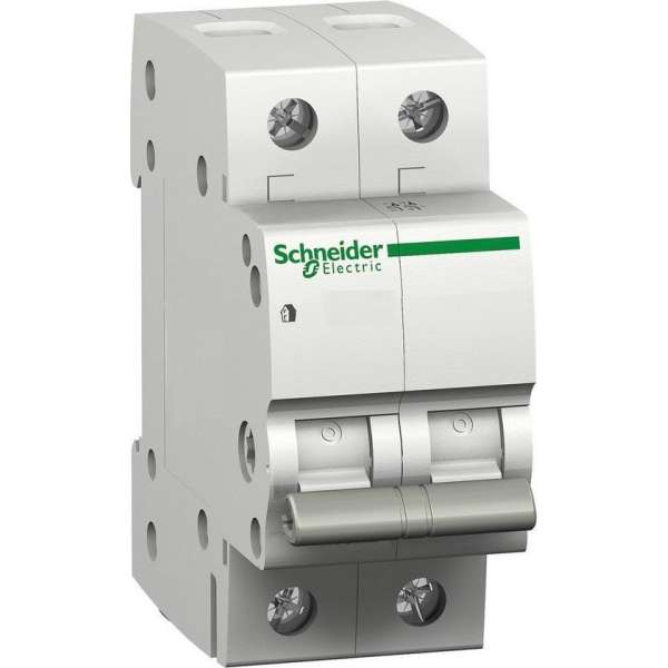 Schneider Electric Domae hoofdschakelaar 2p 40A Schneider Electric Domae hoofdschakelaar 2p 40A