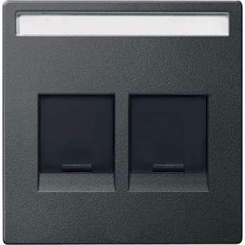 Inzetstuk RJ45 Tekstveld 2V - Antraciet - Systeem M - Schneider Electric - MTN4564-0414