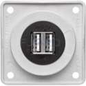 Berker USB kontaktdoos dubbel mat Wit
