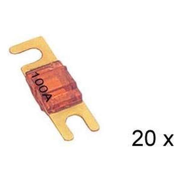 AFS zekering verguld 100A 20x AFS zekering verguld 100A 20x