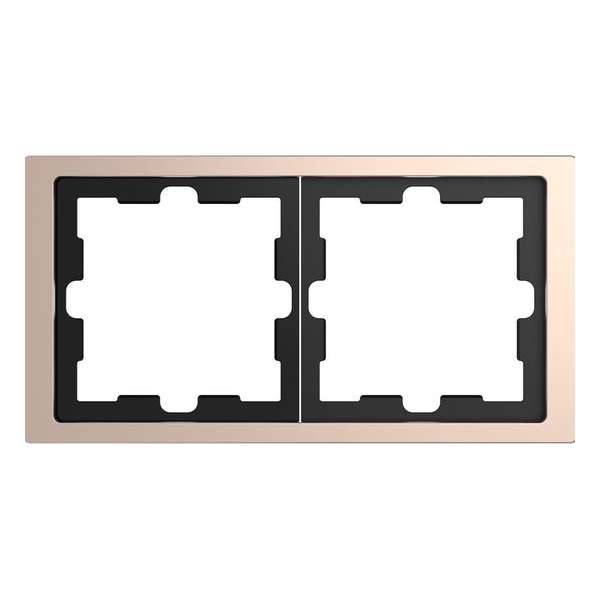 Afdekraam D-Life 2V - Metaal Champagne - Systeem Design - Schneider Electric - MTN4020-6551 Afdekraam D-Life 2V - Metaal Champagne - Systeem Design - Schneider Electric - MTN4020-6551