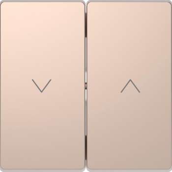 Dubbele Wip Jaloezieschakelaar - Metaal - Champagne Metallic - Systeem Design - Schneider Electric - MTN3855-6051
