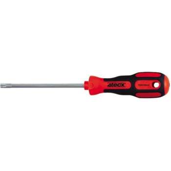 4Tecx Schroevendraaier Torx T15 L80mm