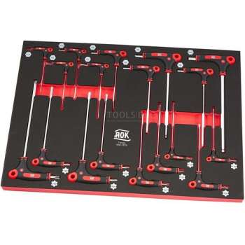 AOK Professionele 18 Delige T-Grepen Foam Inlay