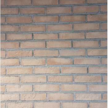 WOON-DISCOUNTER.NL - Baksteenstrip Appingedam - Creme - Muurbekleding  - Sierstrips - 515002
