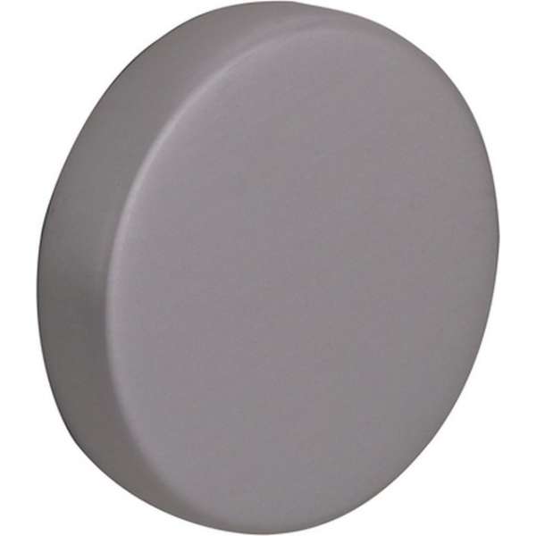 CanDo eindkap voor trapleuning RVS-look Ø45mm 2 stuks CanDo eindkap voor trapleuning RVS-look Ø45mm 2 stuks
