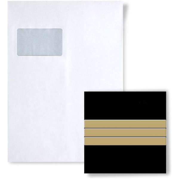 Mozaïek STAAL S-Linear-Ti-GM Collectie Linear titaan Gold hoogglanzend Mozaïek STAAL S-Linear-Ti-GM Collectie Linear titaan Gold hoogglanzend
