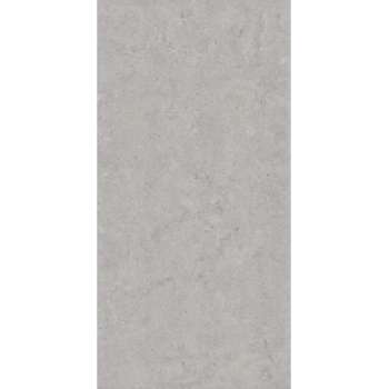 Keramische tegel Bristol Grey- 60x120 - Woodson and Stone - grijs