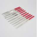Diamant naaldvijl set - 10 delige diamant naaldvijl set - Diamant naaldvijl - Diamantvijl - Diamantvijl set - Rood - 160x4mm